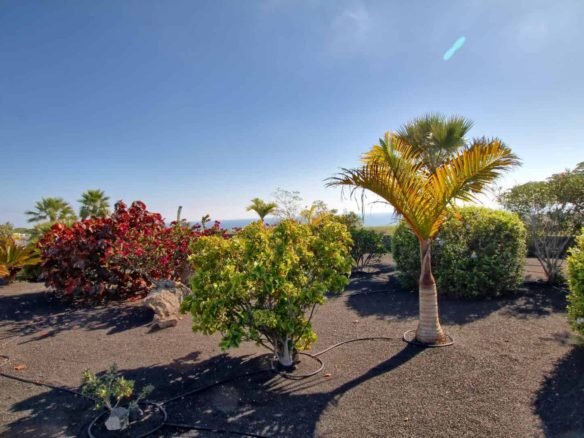 Large Mature Gardens
