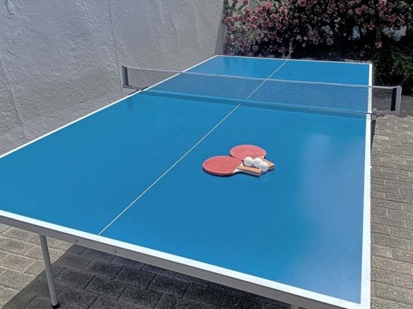Perlita - Table Tennis - PingPong