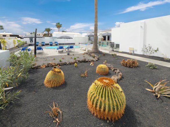 Casa El Paraiso - Puerto del Carmen - Lanzarote - Expansive Gardens
